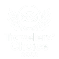 trip advisor 2022